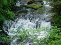 dsc00415.jpg