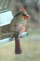 mrsc_2069-c.jpg