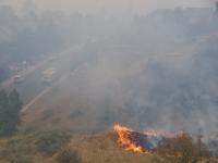 wildlandfire.jpg